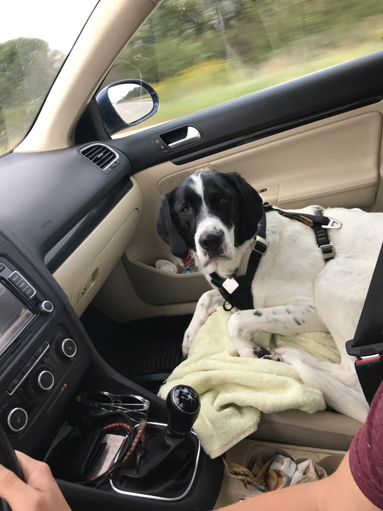 77f958e1-9744-4747-b3c6-3e593a5d4d3e